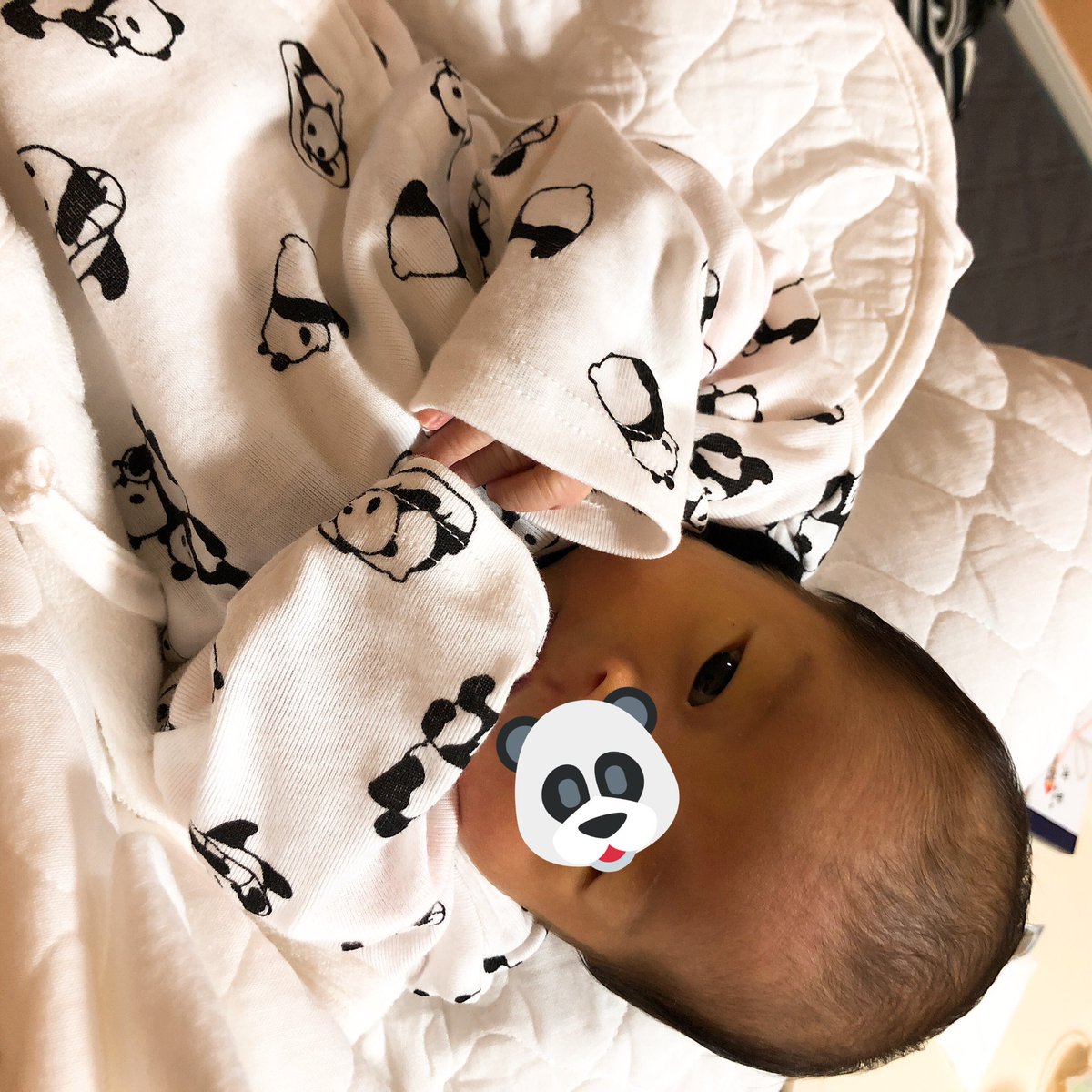 yumentamu's tweet photo. 転職しました、今年の職業はママです🤱先月ベビ子を出産しました👶❤️
はじめに思ったことは、こんな可愛い生き物は見たことがない、お母さんという生き物はすごい、の二点ですね🥺 https://t.co/Wv5tRxwRuK