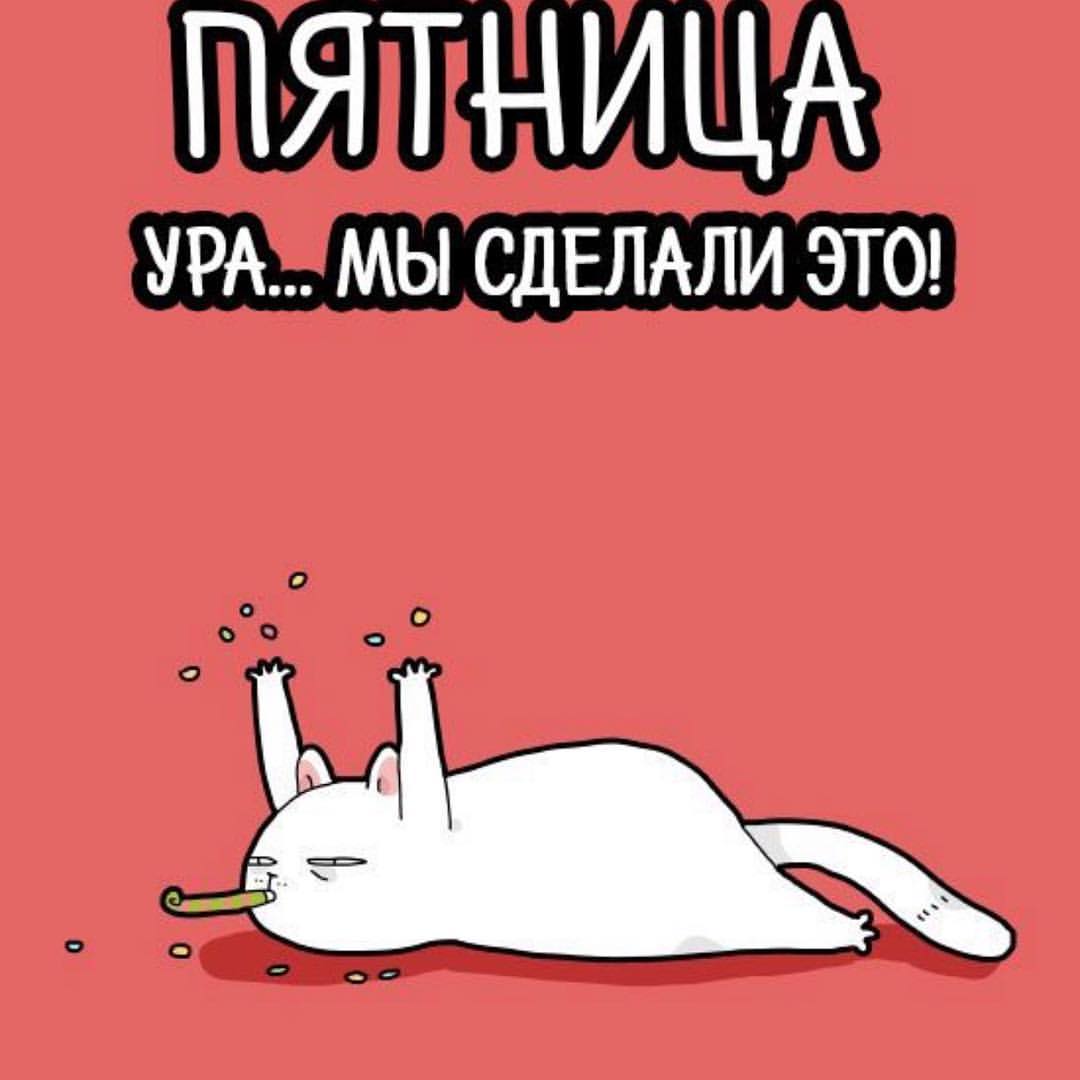 Для, смешные картинки сегодня пятница