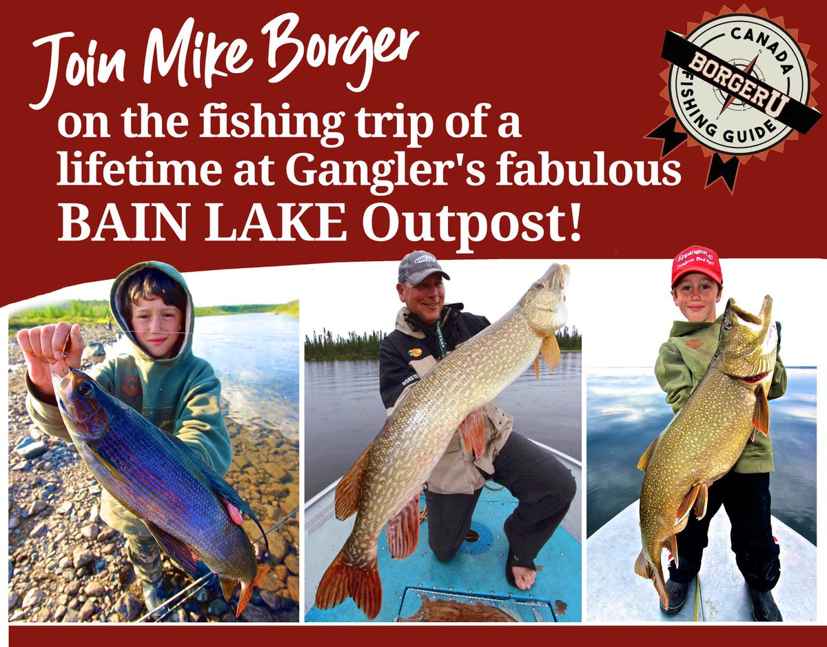 CanFishingGuide's tweet image. Interested in joining me on the fishing trip of a lifetime? There's still spots available July 27-August 3 at Gangler's amazing Bain Lake outpost camp in far northern Manitoba! Trophy fish of 4 species: Lake trout, pike, arctic grayling &amp;amp; walleye! canadafishingguide.net/canada-fishing…