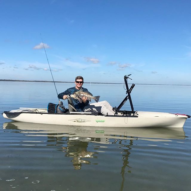 TellTaleFish's tweet photo. Found a lot of fish, but not a lot of catching. Managed a pair of #blackdrum and a couple of nice #seatrout but wind was either too still and the fish were spooky or blowing me past them like a power boat. Great to see clean water and healthy fish in #mo… https://t.co/04L9y8uRm7 https://t.co/se40bXk4jd