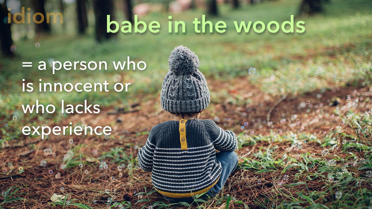 Learners Dictionary On Twitter Idiom Babe In The Woods - 