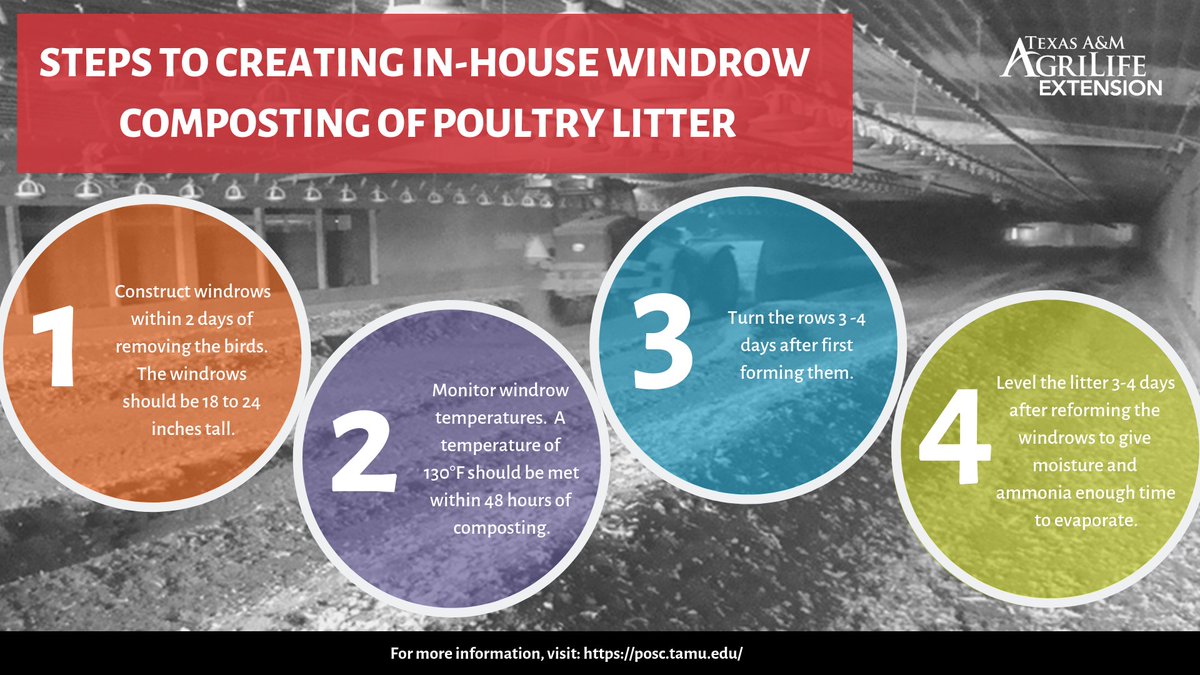 txextension's tweet photo. In-house windrow composting, or IWC, is a cost-effective alternative that poultry producers can use to extend the useful life of litter without damaging bird performance. Learn more: https://t.co/x7z7PKpgvE https://t.co/y75aWAW9cn