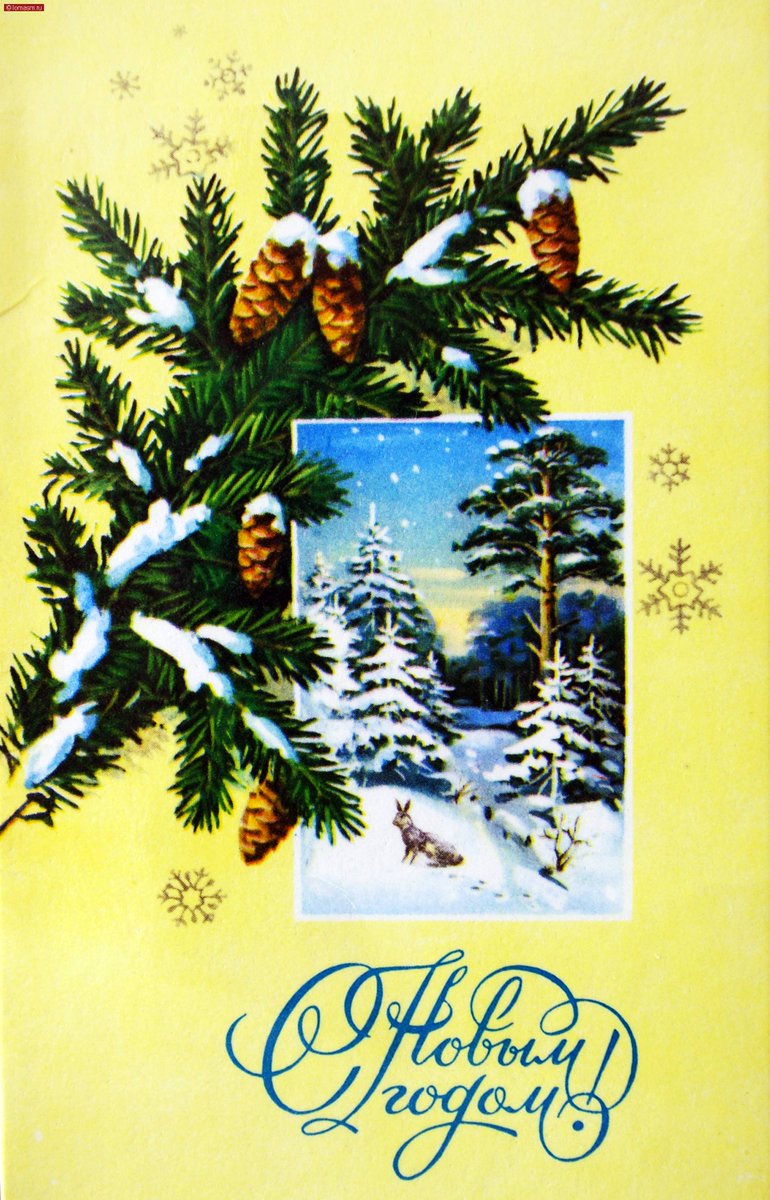 Открытки фото ссср