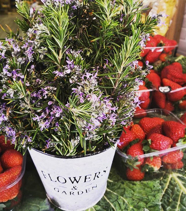 LaServiTeca's tweet photo. Romaní fresc, quina bona olor😀
Ens encanta, és de foto!
.
.
#serviteca #tecabona #tecalovers #proximitat #herbesaromatiques #herbesdemataro #romaníflorit #romeroflorecido #romeroquesalgalomaloyentrelobueno https://t.co/PSJe7jGdRT https://t.co/QFeegmcwfA