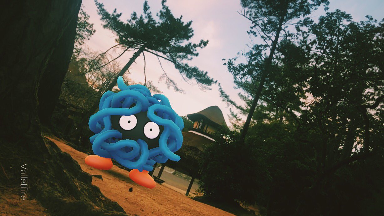 どるお Pokemongoar モジャンボに進化させたいな でもマンムーが来るしな 結果 進化 は後回しになってしまうモンジャラさんです ちなみに中身は謎系ポケモンの元祖ですw たぶんw モンジャラと俳聖殿 ポケモンgo Pokemongo Pokemongoar