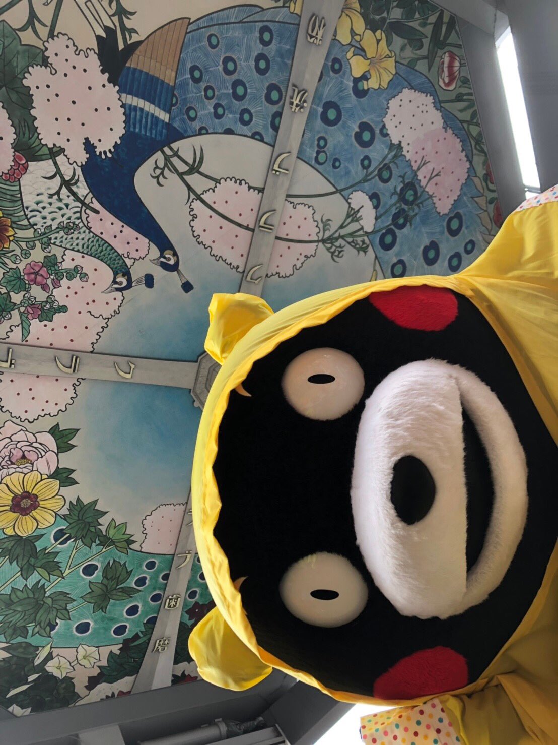 くまモン 公式 大阪といえば 明日からの2日間 くまモンファン感謝祭19inosaka が始まるモン 大阪の万博記念公園で開催するけん みんな待ってるモーン