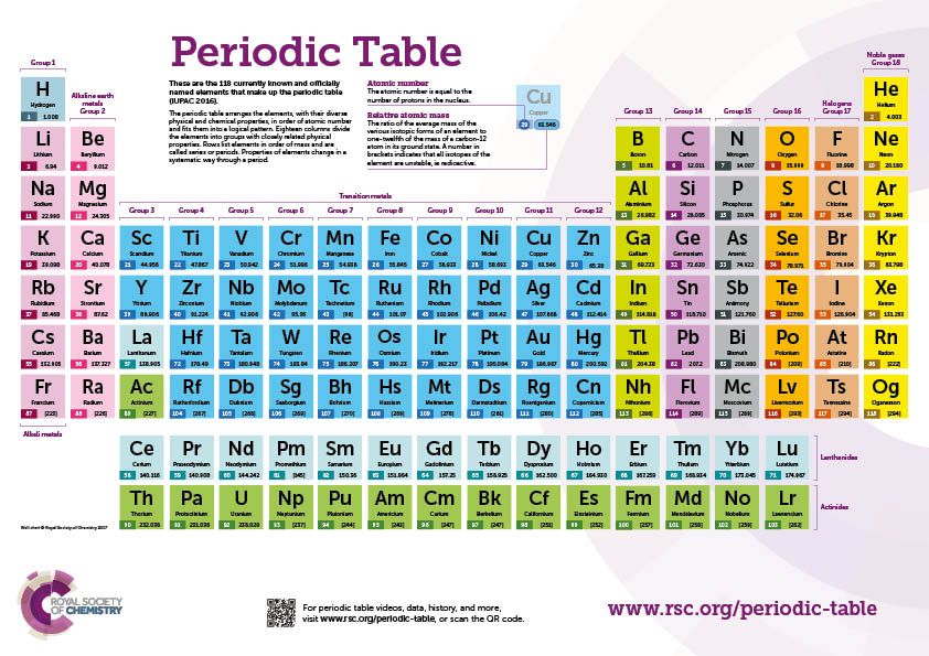 Royal Lion Jr Spaghetti Tank Classroom Periodic Table of Elements