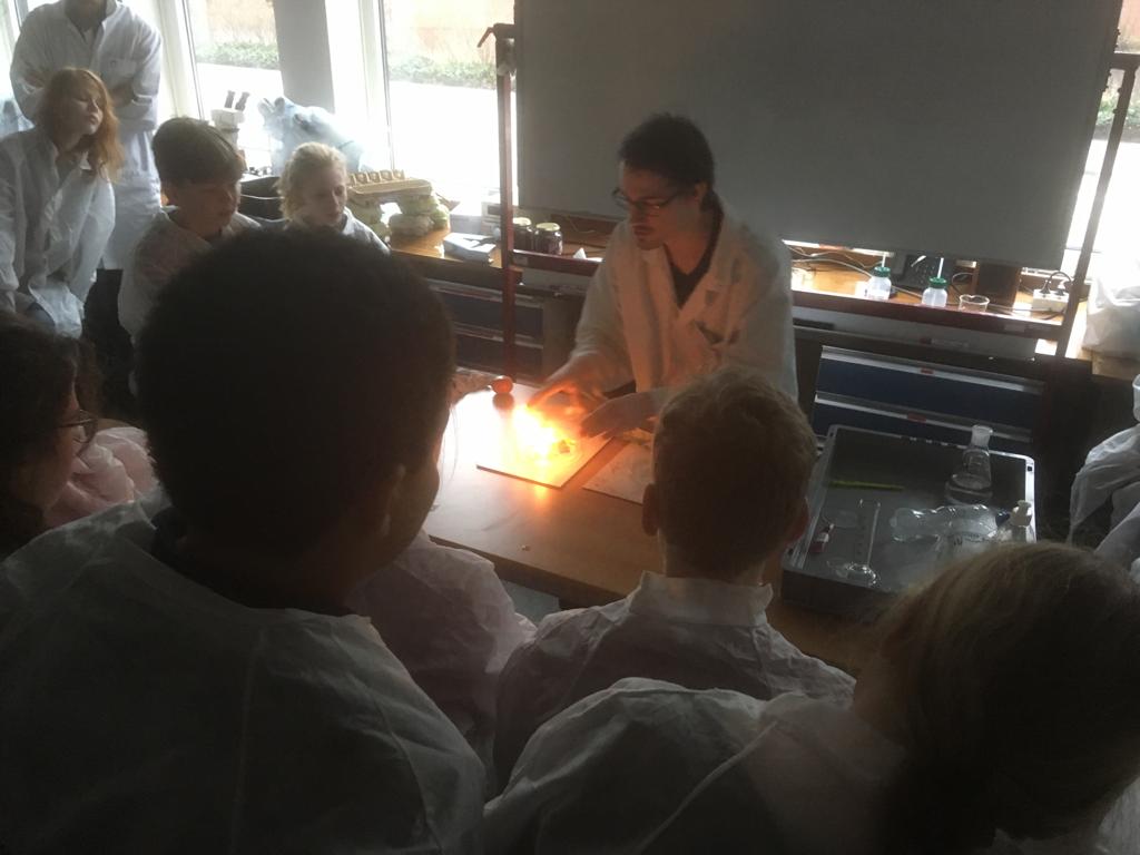 Een magische show en je eigen stuiterbal maken op het lab, munten uit de oudheid ontwerpen bij archeologie en een katapult om je stad te verdedigen zijn de ingrediënten van het zabuki festival op <a href="/saxion/">Hogeschool Saxion (inactief)</a> dit jaar. Dat is nog eens een manier om kennis te maken met 1250jr Deventer!