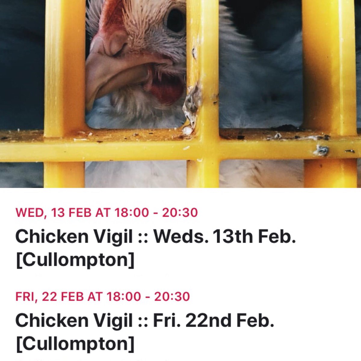 DevonAnimalSave's tweet image. Our next two vigils at 2 Sisters Food Group, please join us if you can 💚

More details on our Facebook page Facebook.com/devonanimalsav…