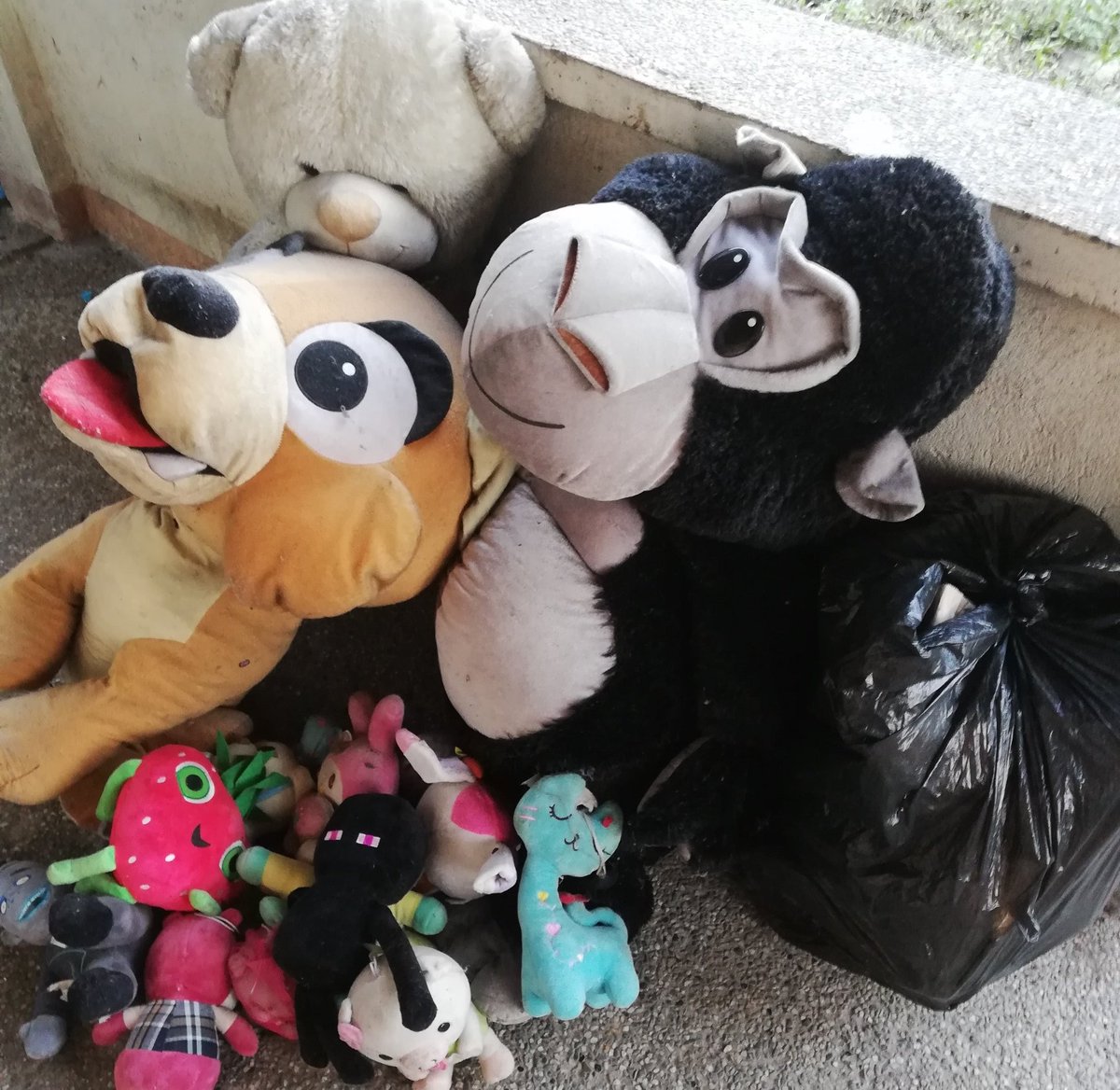 Yung alam mong wala ng balikan pag kasama na sila sa basura🦍🐻🐶💩