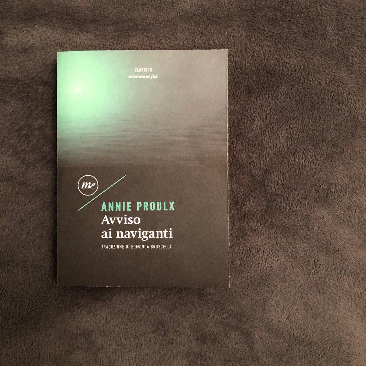 «Ai miei tempi si diceva: “Un maiale, una barchetta e un campo di patate: che altro ti serve per vivere?” E oggi cosa si dice? Si salvi chi può!»
@minimumfax #annieproulx #avvisoainaviganti #theshippingnews