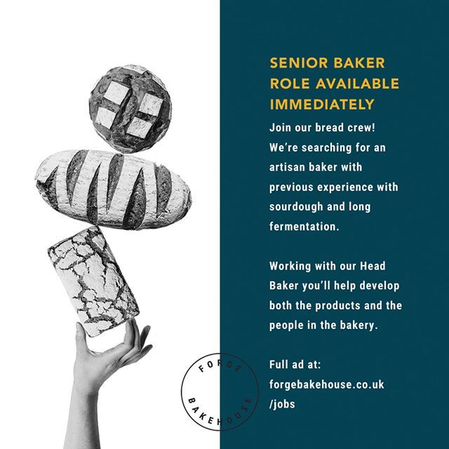 Bakers! Get in touch we want to here from you. Full job description:

SENIOR BAKER FT
We are looking for an experienced baker to steer our small crew alongside our Head Baker. Previous professional experience is essential, we hope to find a baker who has… bit.ly/2GtgCNA