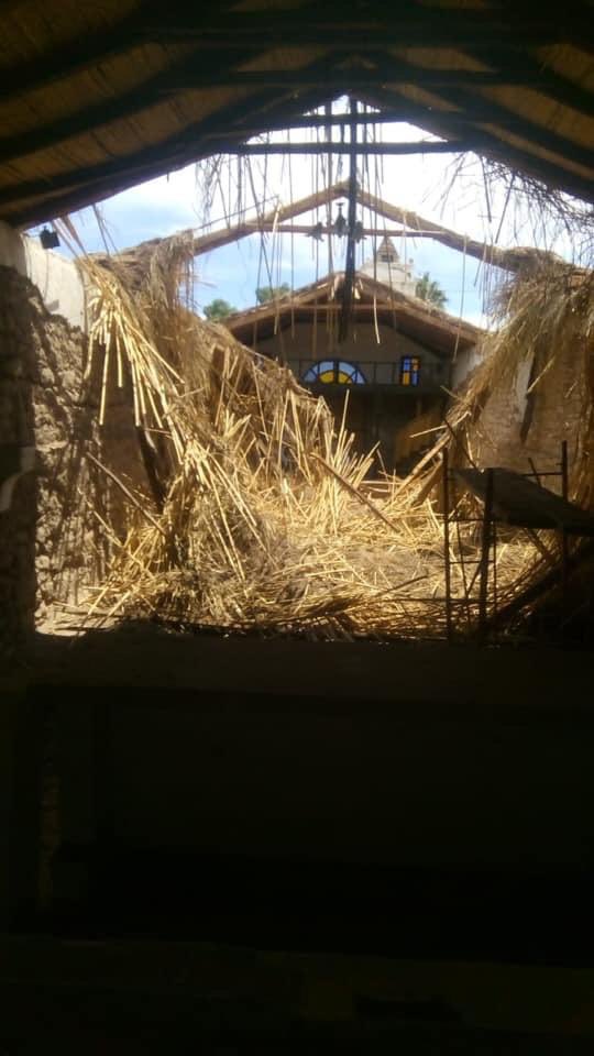 RicardoDiazC tweet picture