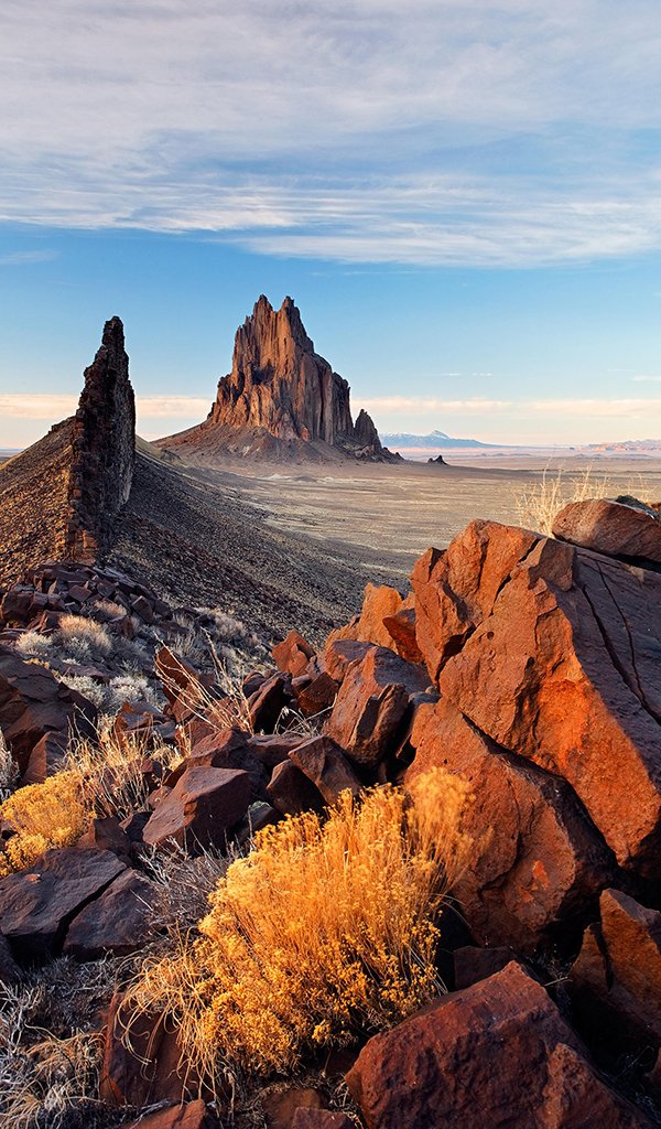 ModinMole's tweet image. 