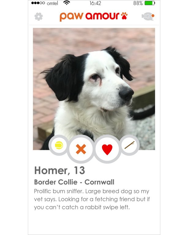 doggy dating profil