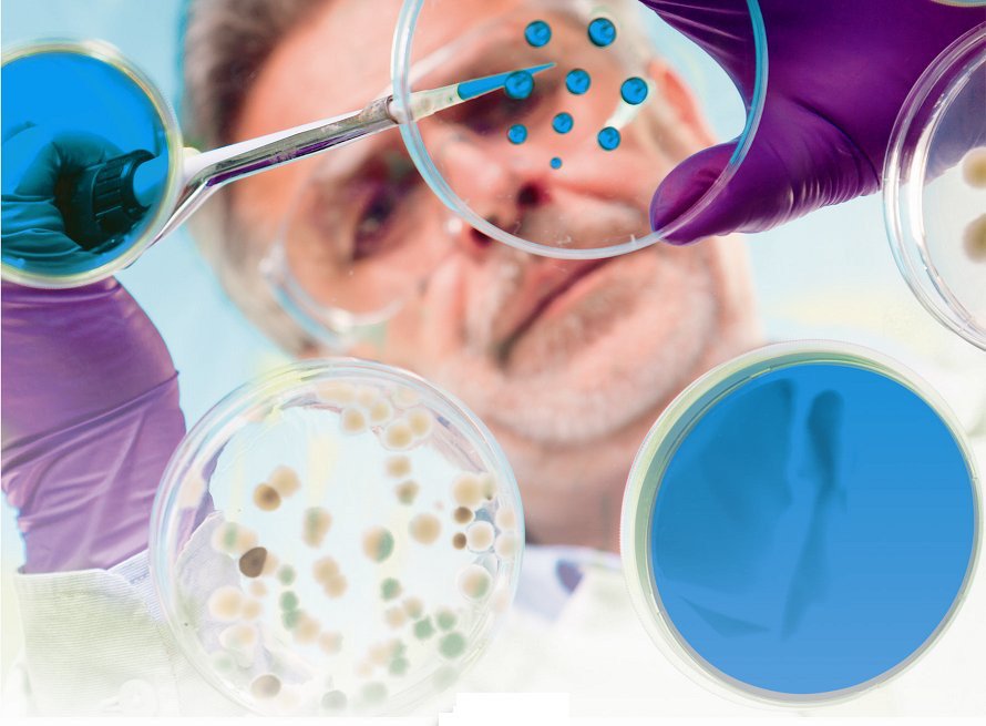 LuisMGallego's tweet photo. Modificacion del #Reglamento 2073/2005, sobre #criterios #microbiologicos de #Higiene y #SeguridadAlimentaria
https://t.co/pc1tJzkwBR https://t.co/PYL22JxwJ9