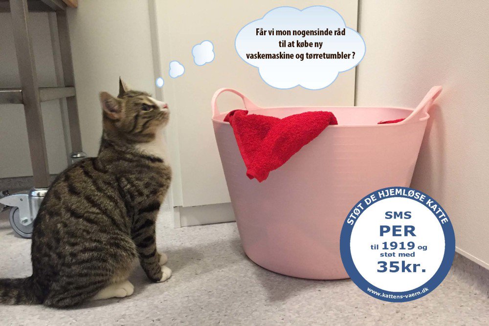 garn Bugsering Teenager Kattens Værn on Twitter: "Per-Arne drukner i vasketøj!  https://t.co/56b2fiSpRm https://t.co/Hglxp0DjeI" / Twitter