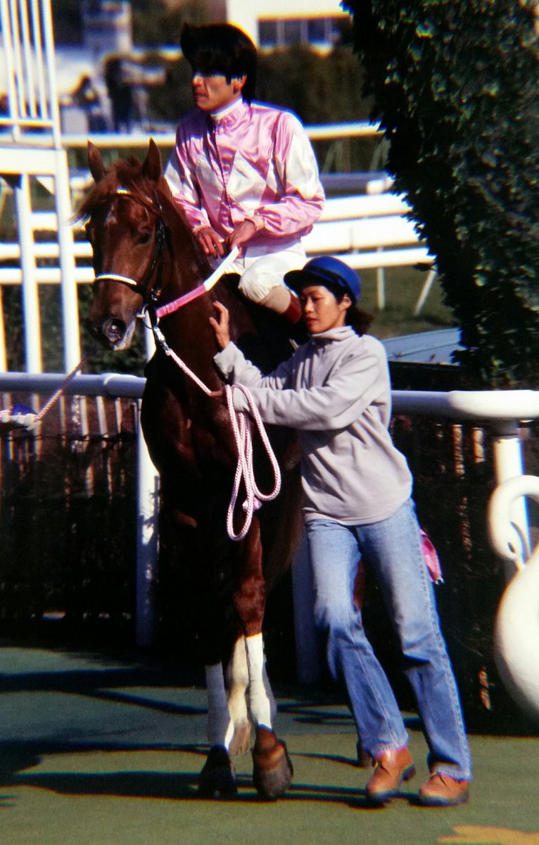 かずpart 京都競馬場改装中 Ar Twitter プレイバック こぶし賞 99年 ワンダーファング 全姉は桜花賞馬ワンダーパフューム 見事な逃走劇で後続に影すら踏ませぬ完勝 芝初勝利を飾った こぶし賞 ワンダーファング