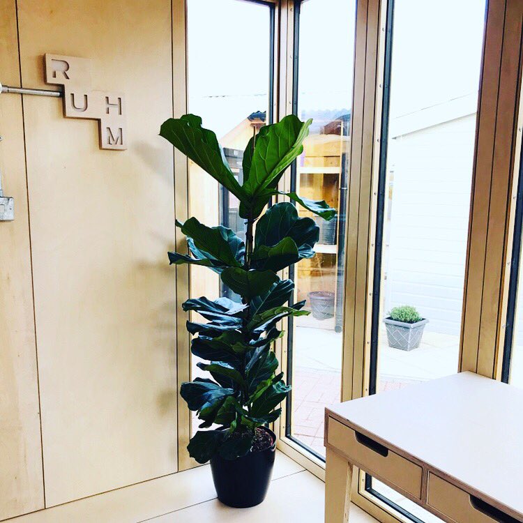 RUHMworkspace's tweet photo. We love the fresh, contemporary feel of birch ply, allowing you complete flexibility with customising your RUHM WorkSpace interior...

#TheLiveWorkMovement https://t.co/r6X6Dsz9M3