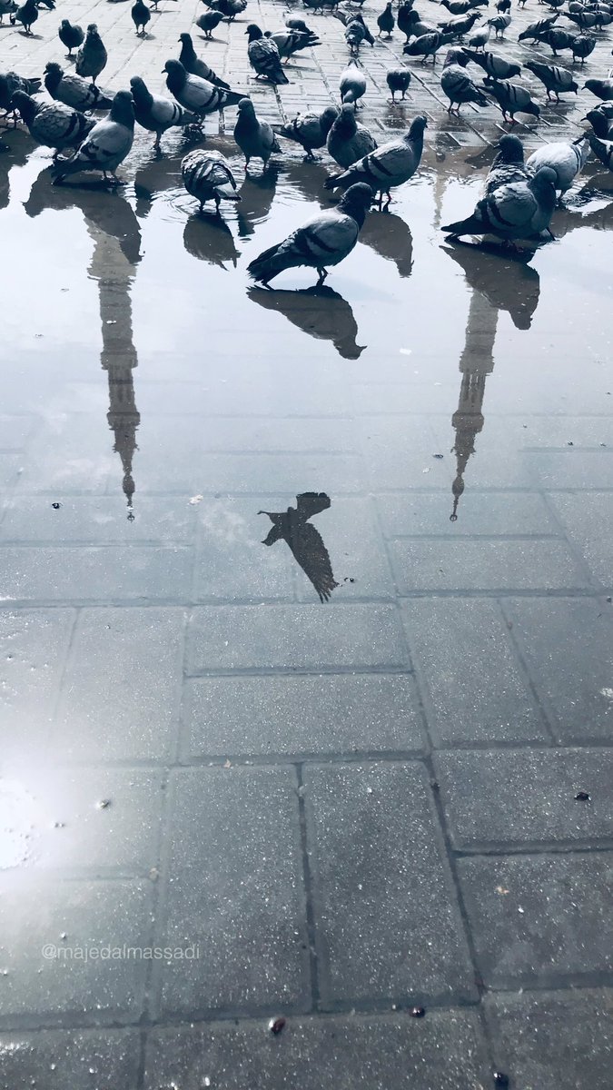 m_d_sj's tweet photo. إنعكاسات 📸 

#ShotOniPhone
#الحرم_النبوي https://t.co/38vWDpKTHu