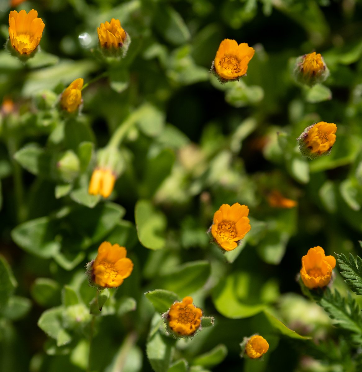 LWF Jerusalem tweet media