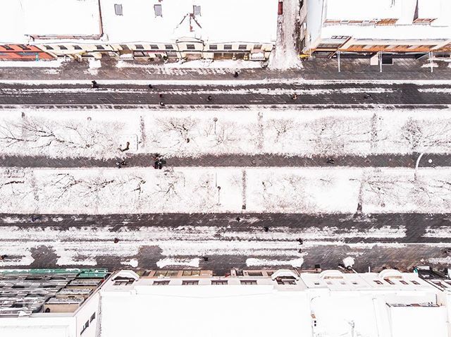 Freedom avenue | #laisvesaleja #avenue #winter #ziema #kaunas #kaunasisvirsaus #kaunastic #pedestrians #lithuania #lietuva #baltictrend #linktolithuania #beautifullithuania #drone #drones #dronestagram #skypixel #iamdji #droneoftheday #dronesdaily #aerial #aerialphoto #aeria…