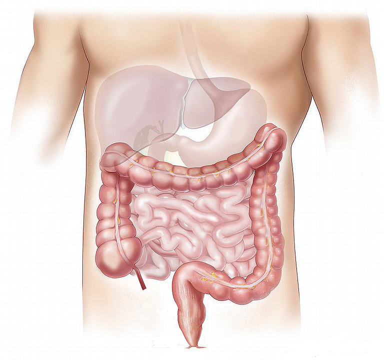 AssGastro's tweet photo. La sindrome dell'intestino corto è una patologia poco conosciuta di cui non si conosce la diffusione in #Italia: partecipa alla survey #aigo per avere il primo censimento dei casi https://t.co/zBDKAMCIHP https://t.co/kmuqBv9Rzf
