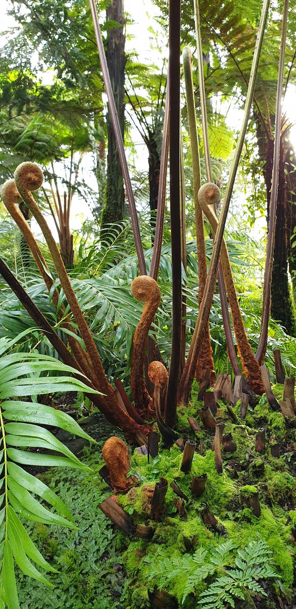 Cameron Tasker tweet media