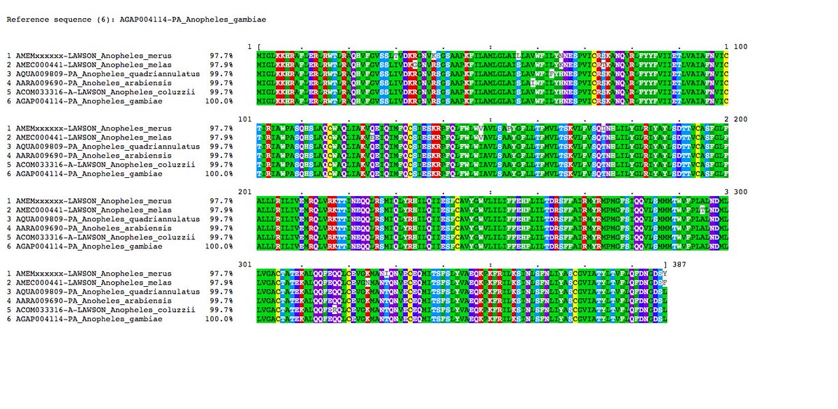 VBannotator's tweet image. Gr1 gustatory receptor, 1 novel, 1 split and 1 modification.  #Anopheles #gambiae #complex #VBannotation