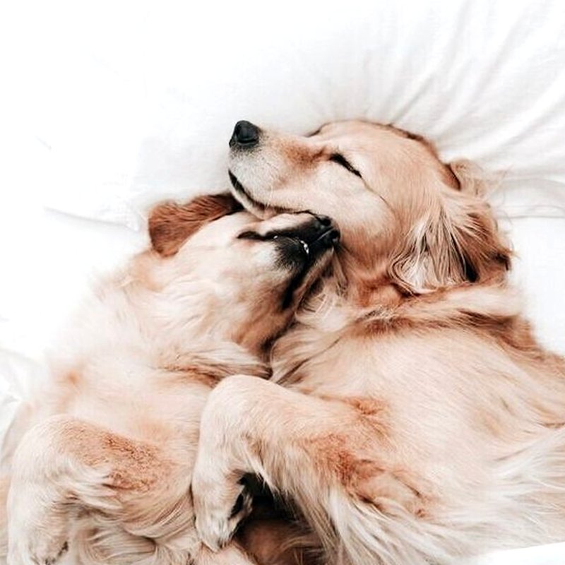 Pazar miskinliği yapanlarda bugün.. ☺️😍
#sabah  #hayat  #aşk  # EtiketlerForLikes  #TFLers  # tweegram  #photooftheday  # 20likes  #amazing  #smile  # follow4follow  #like4like #pazar  # sunday