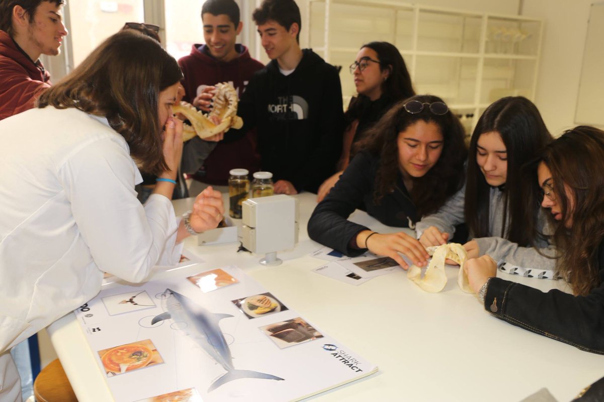 Lemos_lab's tweet photo. @Lemos_lab researchers presented the wonderful world of 🦈🦈🦈 to young students at @ESTM_IPL Ocean Open Day.
Also a time to know about projects #BlueSharker and #SharkAttract! 👌👌

#Knowledge to protect #ourOcean! 🌊🌊🌊

@EU_MARE #MARE #stopfinning #education #sharks 👨‍🎓👩‍🎓 https://t.co/SNXUqEa2r0