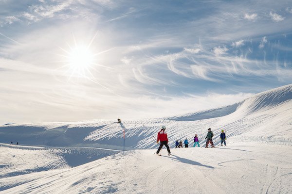 KIDSORTED tweet media