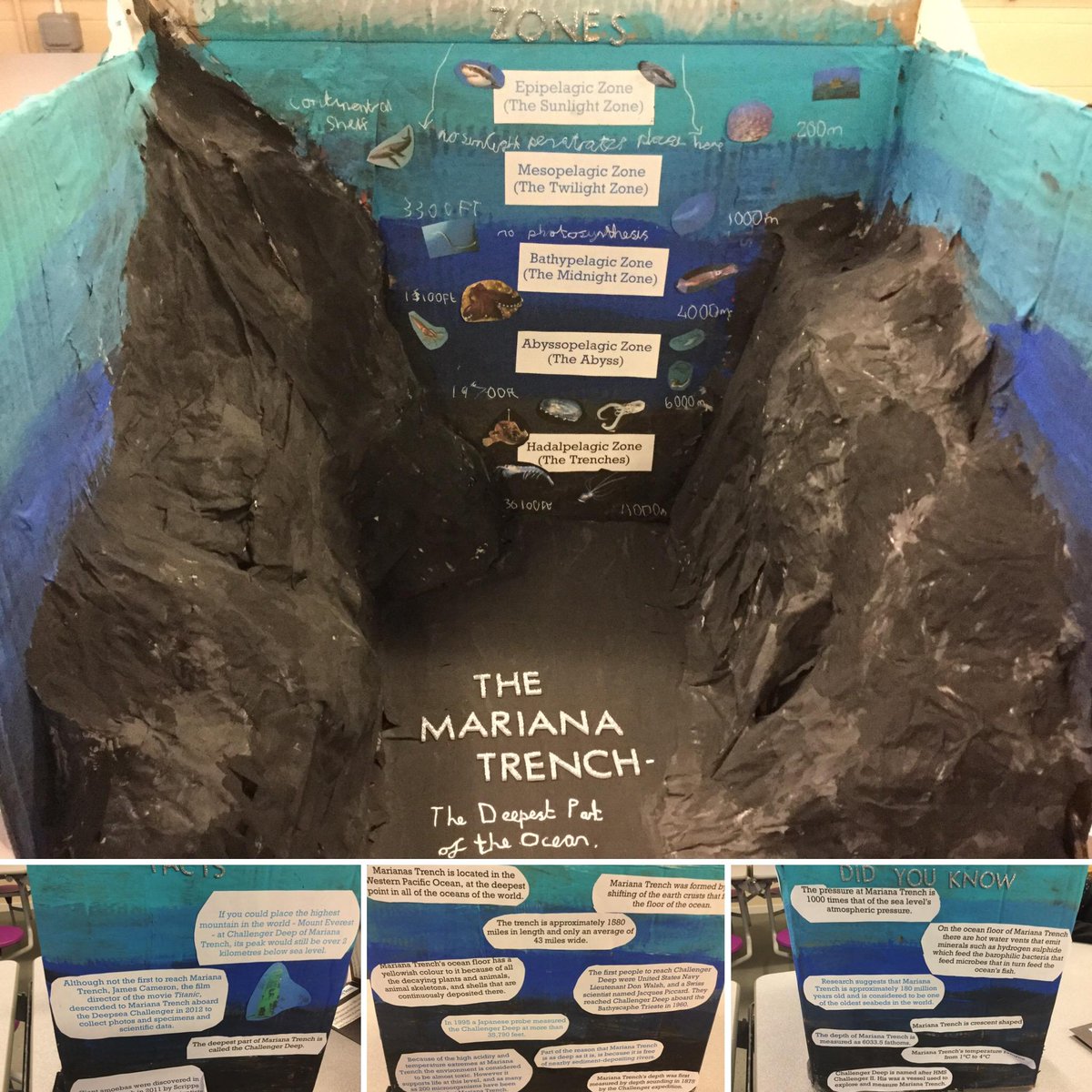 OutwoodPortland's tweet photo. Some outstanding homework spotted on the Humanities corridor today! #Homework #ExtendedProject https://t.co/QVLMRsxLsS