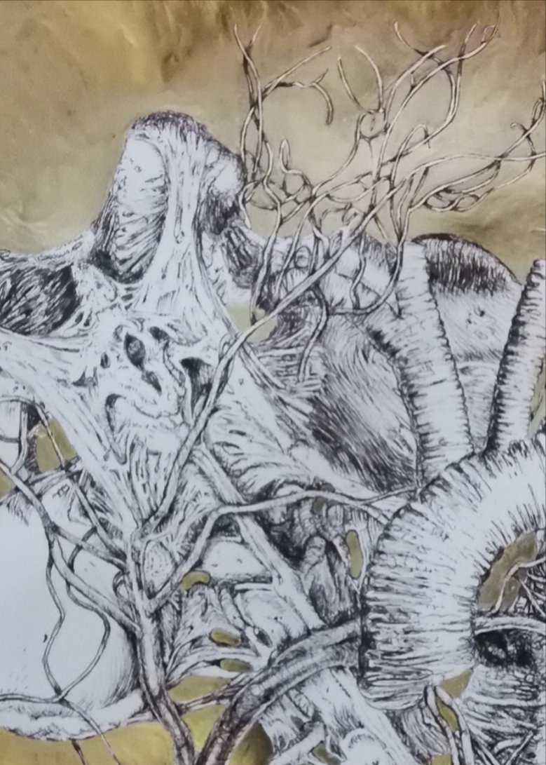 LucyLyons's tweet photo. I think I have finally finished this. It took a lot longer than I thought it would.
#Pen #Drawing #PenDrawing #Gold #LiquidLeaf #goldleaf #Anatomy #AnatomicalArt #pathology #pathologicalart #art #kunst #composite #compositedrawing #NewWork https://t.co/RWSf5z47Jg
