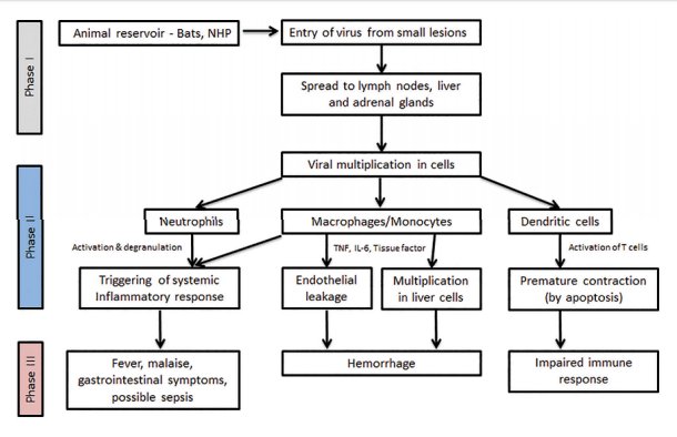 VirologyRes's tweet photo. Theoretical #Model Basis of #Clinical Guidelines for #Ebola #Viral #Infection Containment in Lagos, Nigeria
https://t.co/Hl1Ad8qOxK
Invitation For Submission:Virology Research Journal
Submit your Manuscript at: editor.virology@immunologyjournals.com(or)direct contact via twitter https://t.co/c3uqE4AJ6r
