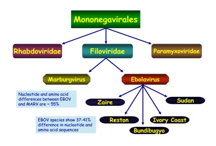 VirologyRes's tweet photo. Theoretical #Model Basis of #Clinical Guidelines for #Ebola #Viral #Infection Containment in Lagos, Nigeria
https://t.co/Hl1Ad8qOxK
Invitation For Submission:Virology Research Journal
Submit your Manuscript at: editor.virology@immunologyjournals.com(or)direct contact via twitter https://t.co/c3uqE4AJ6r