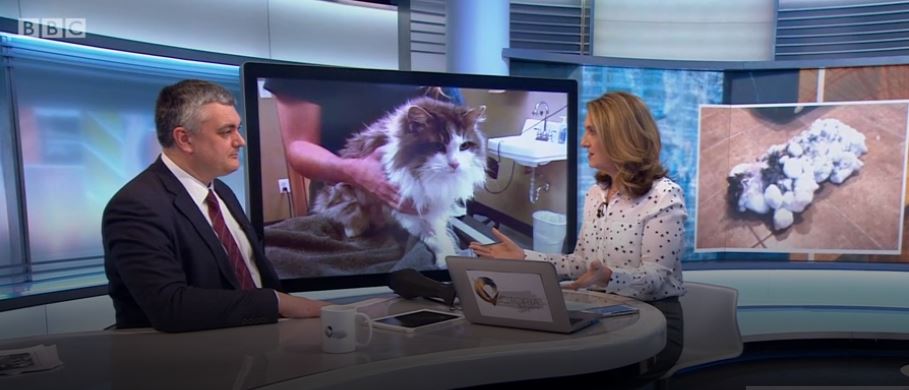 simondocvet's tweet photo. #FluffyTheFrozenCat - never a dull moment being president of @BritishVets! It was a pleasure to join @VictoriaLIVE this morning to talk about very slowly thawing frozen cats... if you find ANY animal in this state, PLEASE take it to the vet! 🐱 #DontHairDryIt #shock #VictoriaLIVE https://t.co/caM6Hezsjq
