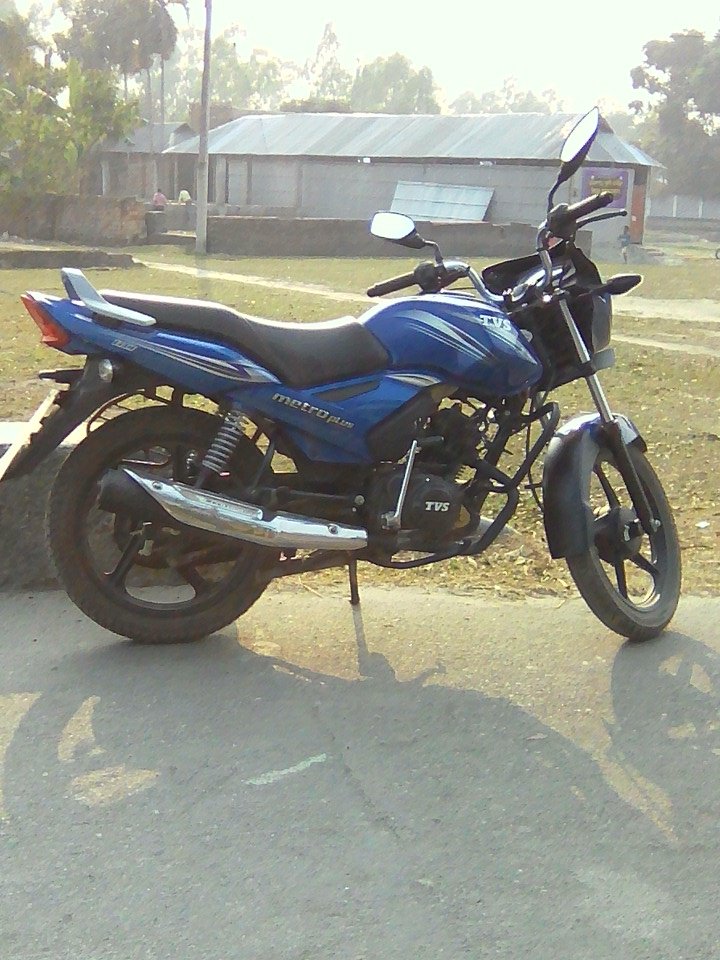 ModinMole's tweet image. 