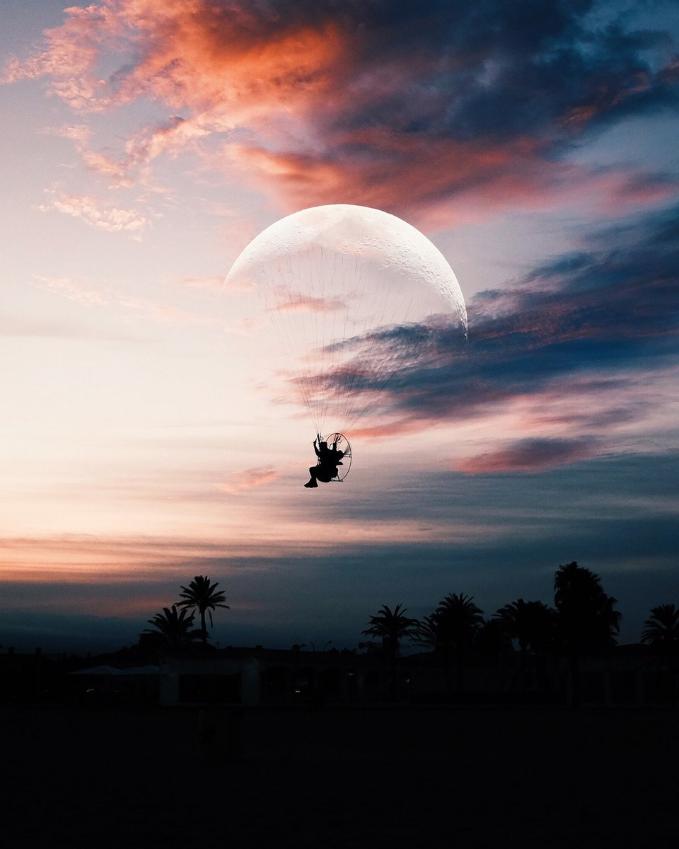 El artista Justin Peters mezcla imágenes con Photoshop para fusionar dos realidades muy distintas, obteniendo resultados de fantasía. 🔮📸🖌 Lee más en <a href="/Colossal/">Colossal Biosciences®</a> 👉🏾👉🏾👉🏾 ow.ly/X54e30nCSy3