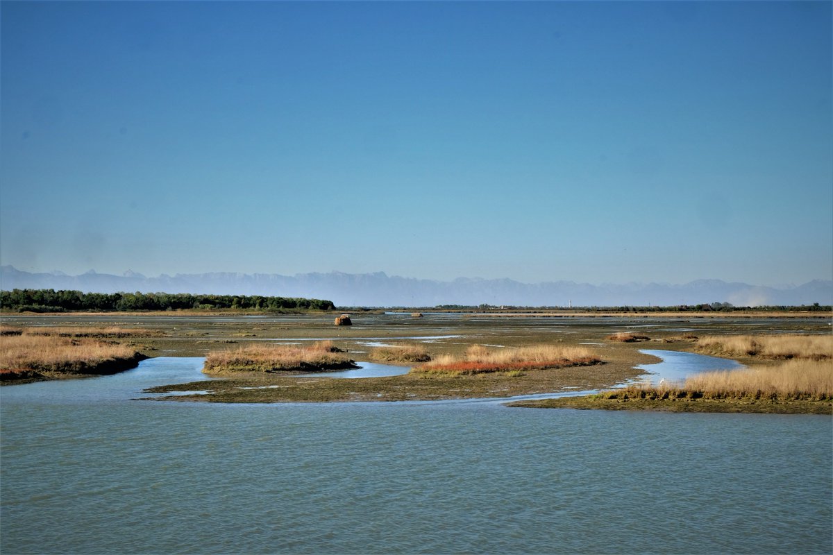 Un Contratto di Area Umida per tutelare la #LagunaDiCaorle. Il Consorzio di #Bonifica #Veneto Orientale è in prima fila per la costituzione dell'innovativo strumento che rappresenta un progetto pilota a livello europeo. 
goo.gl/AMiJv7 
#ambiente #territorio #laguna
