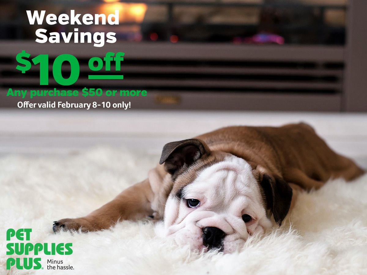 toenail tuesday pet supplies plus