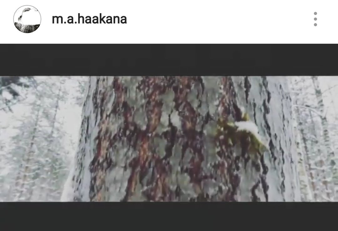 haakana_mikko's tweet photo. #nature #winter #biitti #lofibeat #lofibeats #lofi #lofihiphop #lofimusic #lofivibes #lofihiphopmusic #chillmusic #chillhop #hiphop #suomihiphop #beats #beatmaker #beatmaking #akai #akaimpc #mpc1000 #ableton #abletonlive #makingbeats
https://t.co/hj376OPcYt https://t.co/W6EudAJzCq