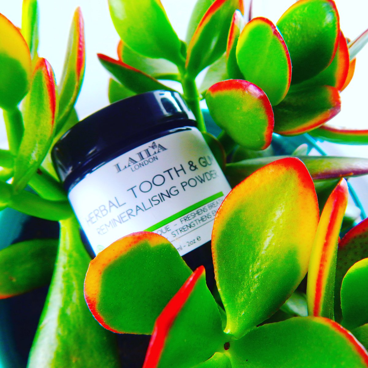 LailaLondon1's tweet image. Make sure when you whiten your teeth you do it using our safe and organic Teeth Whitening Powder🌿#TeethWhitening #naturaltoothpowder  #dentalcare #teethcleaning #oralcare #teethcare