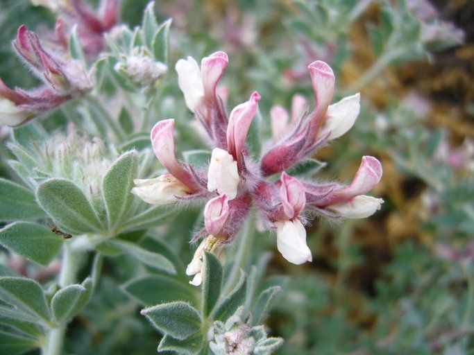 Mick Crawley tweet media