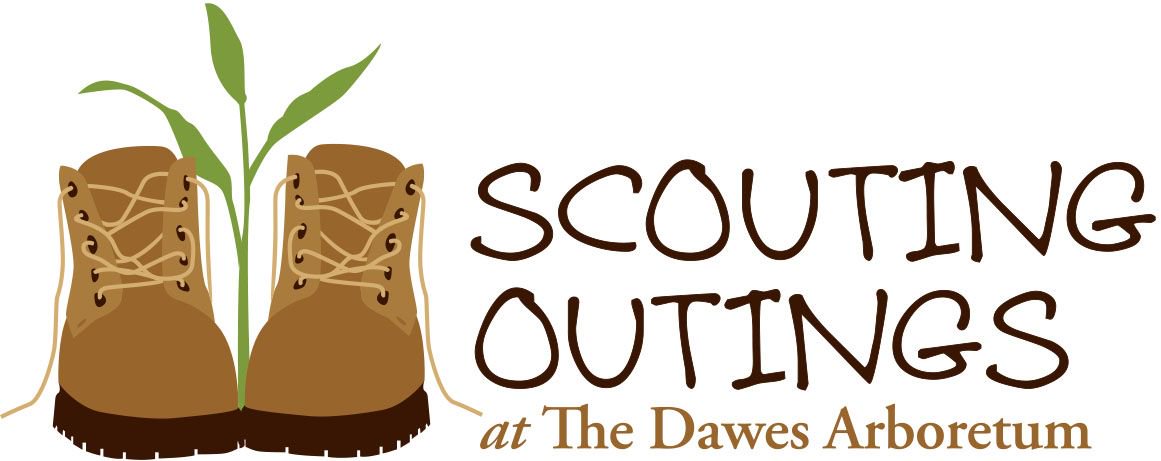 The Dawes Arboretum is hosting a Night Hike to Search for Signs for Spring on Saturday, March 16. Cost is only $6 per person, so sign up to look for signs of spring! 🌷🌱 buff.ly/2DcAIIF