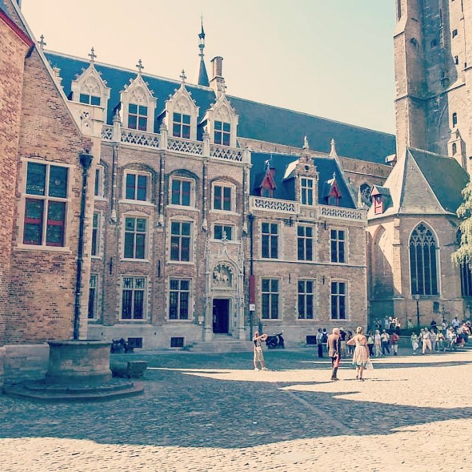 Kippenhok Hashtag On Twitter