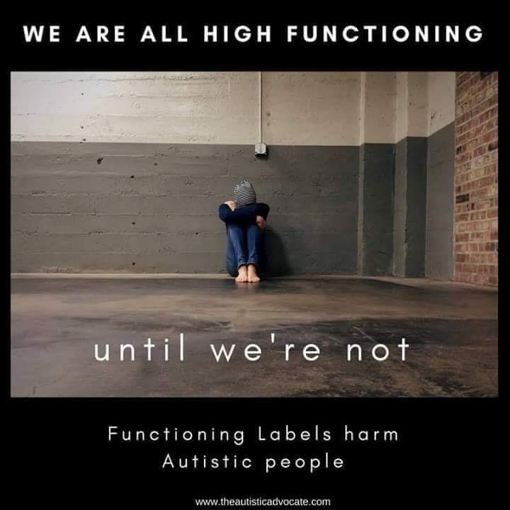 @MNoahlott @jkobopoli @MacLeodLisa Lets not exploit the 10% to 30% Autistics who may present at this moment like your son & may qualify for longterm DSO services. Functioning stigma is another myth why ABA is CRAP.
Let's not pretend ABA is the solution to save tax payers longterm $ or stop parents from surrending.