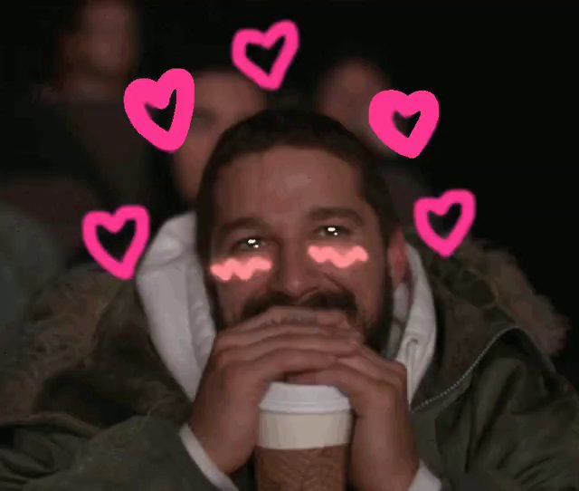 Sof 🐾 tweet media