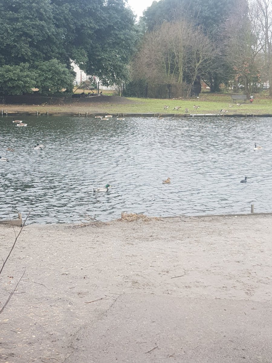 MPSBarkDag's tweet photo. This afternoons patrols by @lbbdcouncil #EstatesTeam included @MPSEastbrook @MPSChadwellHth @MPSValence & @MPSWhalebone areas. #HawkwellHouse #ValencePark #ParksideHouse #MarksGate https://t.co/I3XgFhBytr