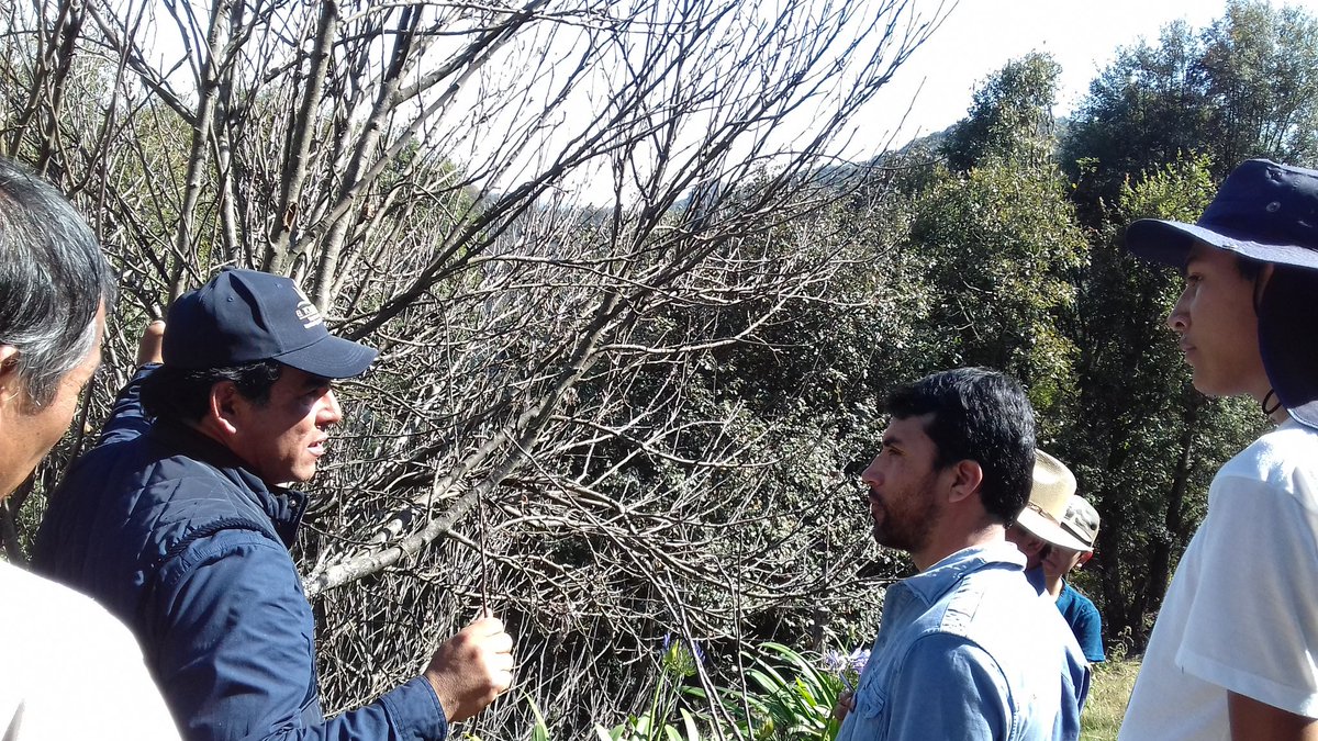 IslasPerus's tweet photo. El #ExtensionismoHidalgo, apoya a productores Acuícolas. En la capacitación para el manejo de Huertas Familiares, gracias a la vinculación entre cadenas  #SoyExtensionista @SEDAGRO_HIDALGO @Car_Muniz  @ecarizpe @crpachtula https://t.co/4AvZaK7czC